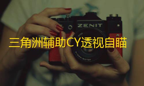 三角洲辅助CY透视自瞄效果图